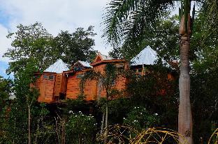 Pai Treehouse Resort Latest Offers