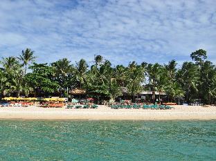 Coconut Beach Resort Latest Offers
