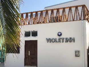 Violet Inn Latest Offers