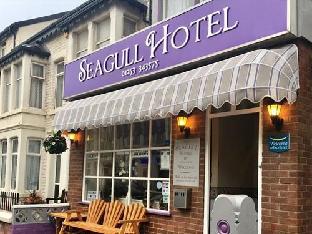 Seagull Hotel Latest Offers