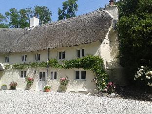 Amberley Cottage Latest Offers