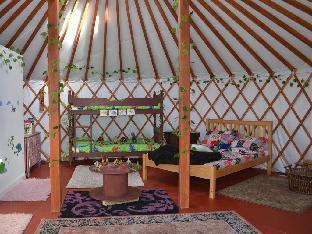 Kids Love Yurts Latest Offers