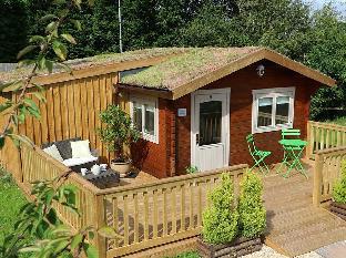 Little Lodge Latest Offers